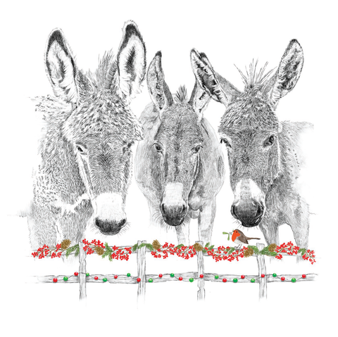 Three Donkeys (Pack of 10 Cards)