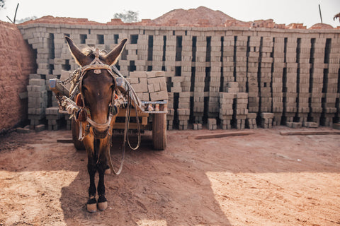 Protection for a brick kiln mule (full day of treatment)