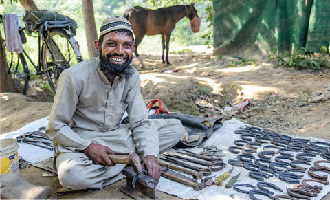 A hoof trimming kit